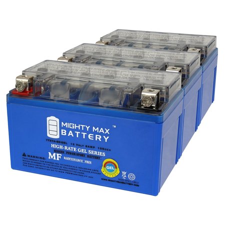 MIGHTY MAX BATTERY MAX4003784